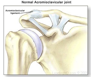 Normal AC joint